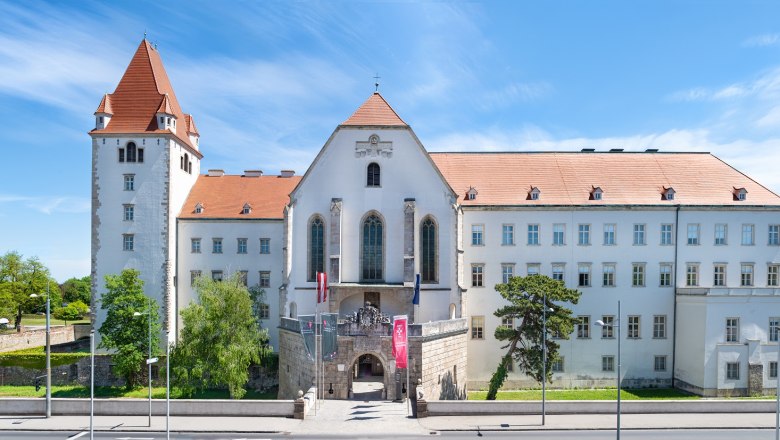 Panoramablick auf die Burg Wiener Neustadt mit rotem Dach und blauem Himmel.