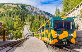 Ein gelb-grüner Salamander-Zug steht an der Station Baumgartner in einer bergigen Landschaft.