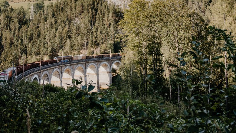 Ein Zug fährt über ein Viadukt in einer bergigen, bewaldeten Landschaft unter blauem Himmel.