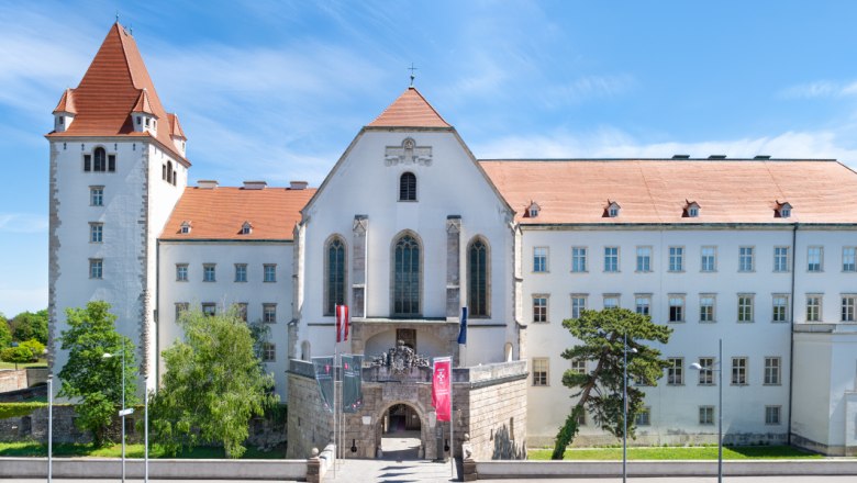 Frontansicht der Militärakademie Wiener Neustadt mit blauem Himmel.