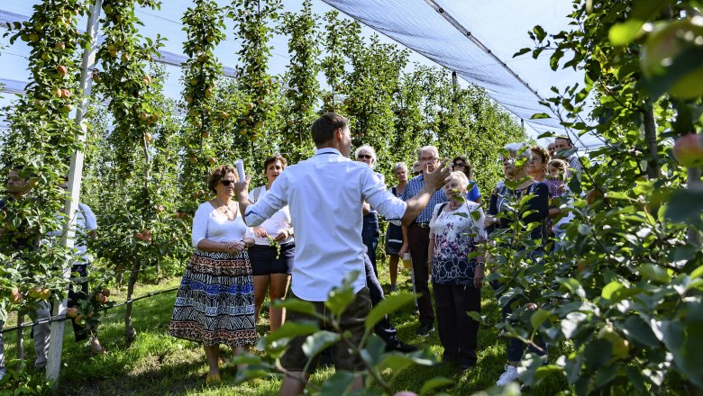 Eine Gruppe von Menschen steht in einer Obstplantage unter einem Netz, w&auml;hrend ein Mann ihnen etwas erkl&auml;rt.