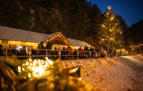 Menschen auf einem Weihnachtsmarkt mit Lichtern und einem großen geschmückten Baum.